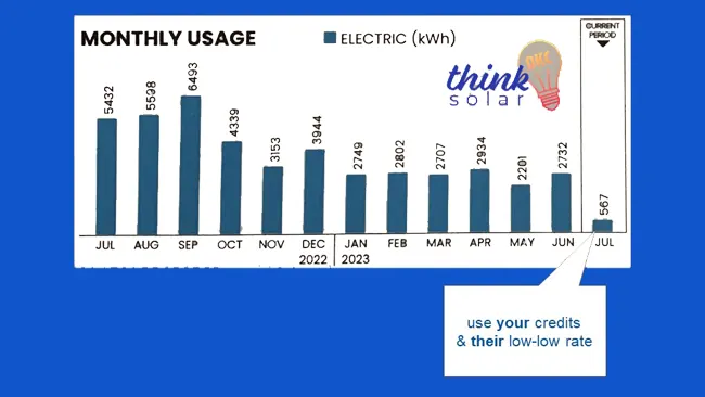 Solar Panel Electricity Savings